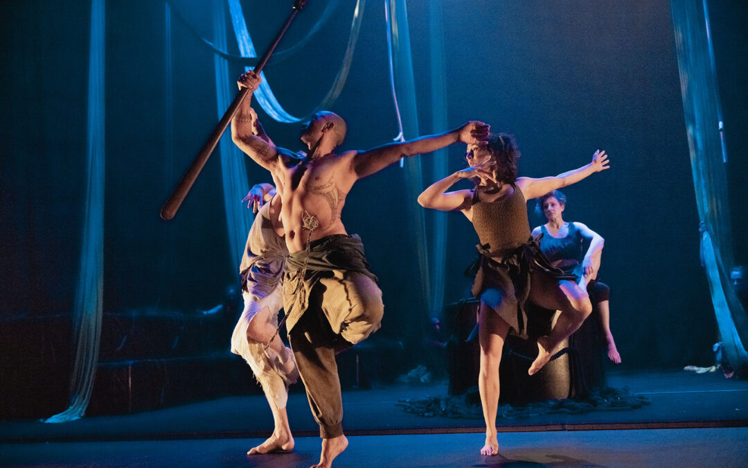 Te Tangi ā te Tūī